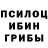 Галлюциногенные грибы мицелий Official Komi