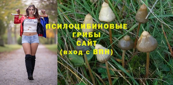 прущий лед Краснослободск