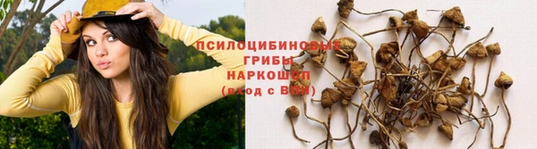 хмурый Алзамай