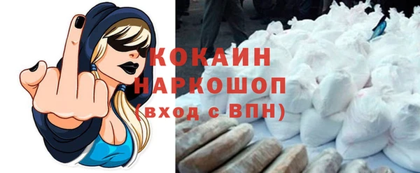хмурый Алзамай