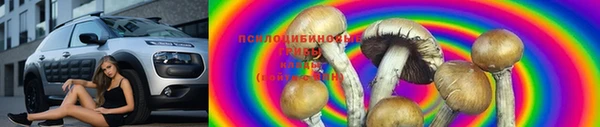 ALPHA PVP Алексин