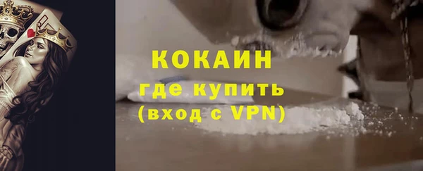 хмурый Алзамай
