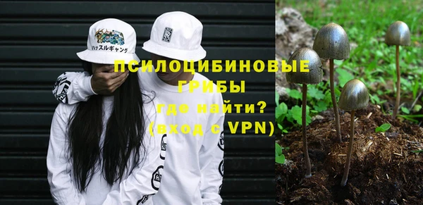хмурый Алзамай