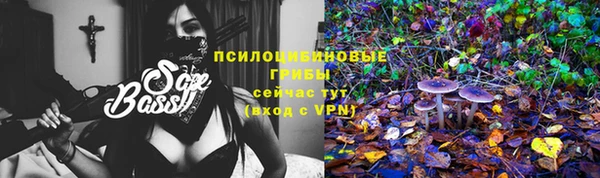 мескалин Алексеевка