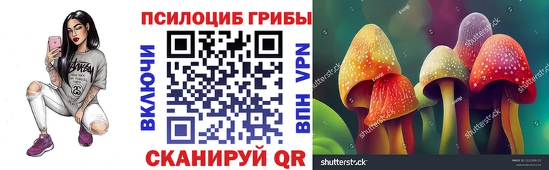 Псилоцибиновые грибы GOLDEN TEACHER  Венёв 